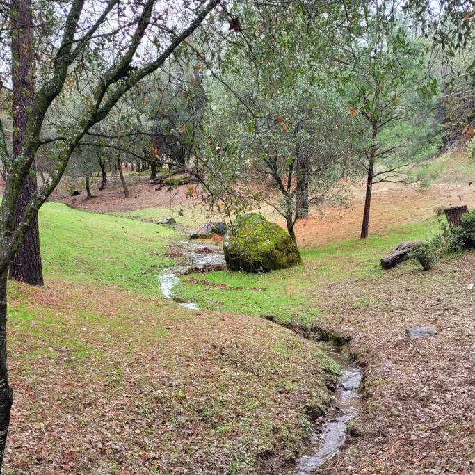 Home In Groveland Near Yosemite Np المظهر الخارجي الصورة
